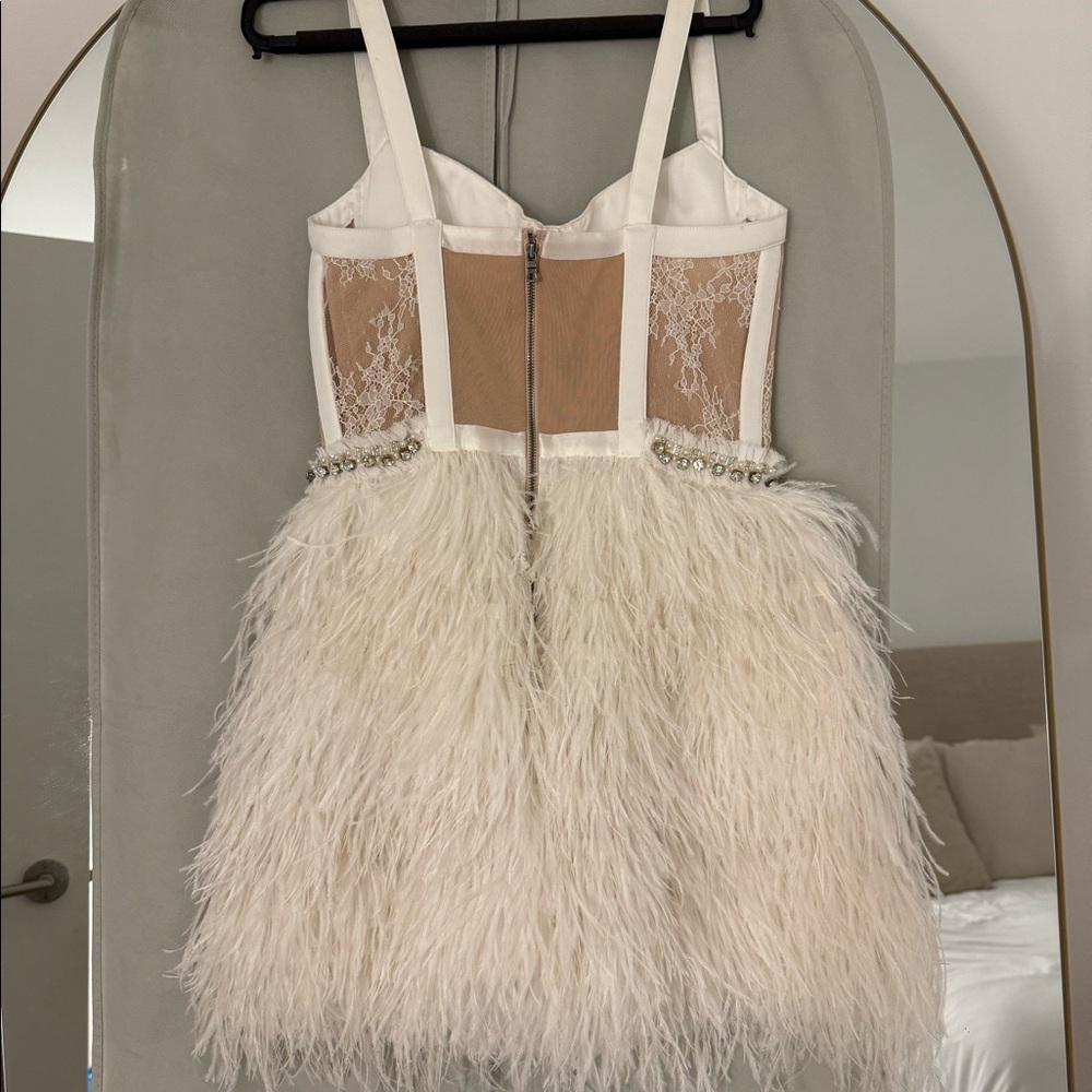 NEVER WORN Alicia & Olivia Shia Sheer Bustier Feather Dress - Picture 7 of 8